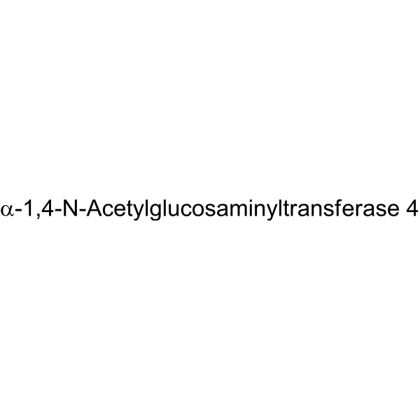 α-1,4-N-Acetylglucosaminyltransferase 4 (EC 2.4.1; A4GNT)